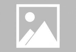 火影最新爆料达鲁伊,达鲁伊觉醒，神秘力量引领忍者世界新篇章